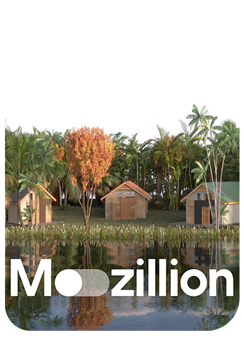 1765553556_Mozillion Travel SIM Cover - Democratic Republic Of The Congo.png